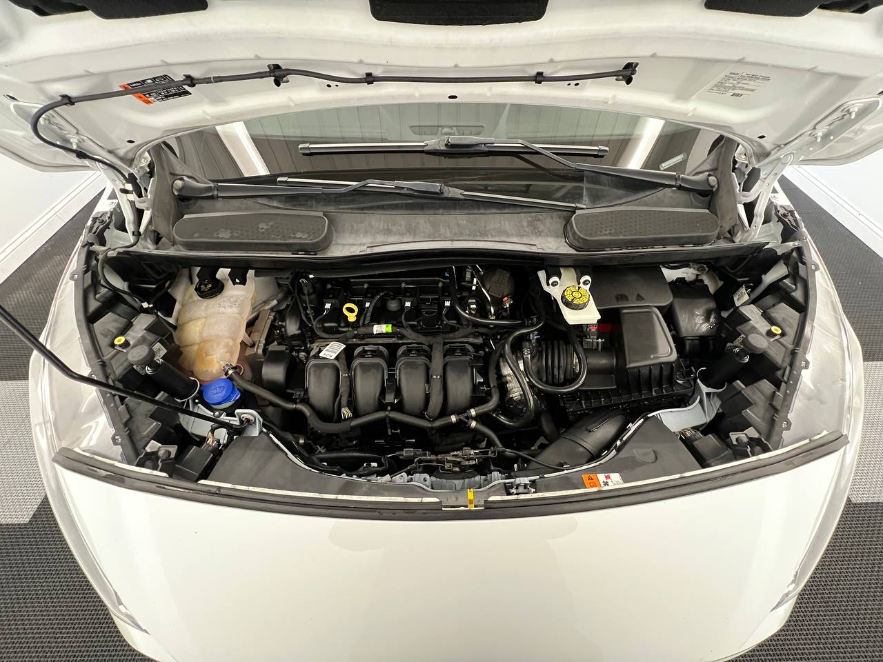 Ford Transit Connect Wagon XLT LWB w/Rear Symmetrical Doors 2020