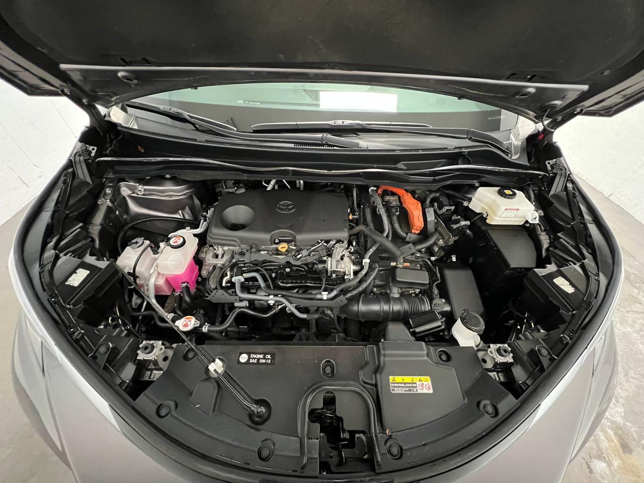 Toyota Sienna  2021