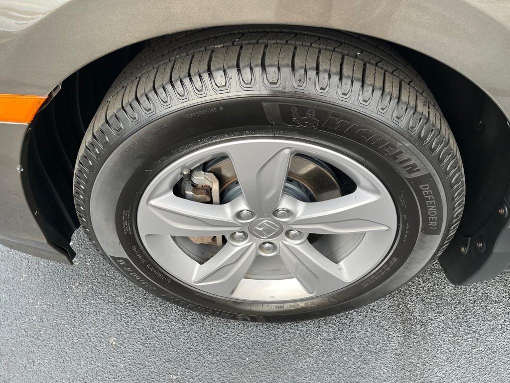 Honda Odyssey  2019