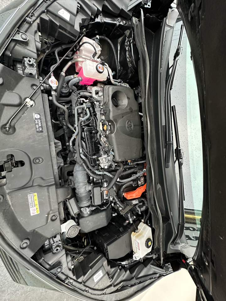 Toyota Sienna Woodland Edition AWD 7-Passenger (Natl) 2023