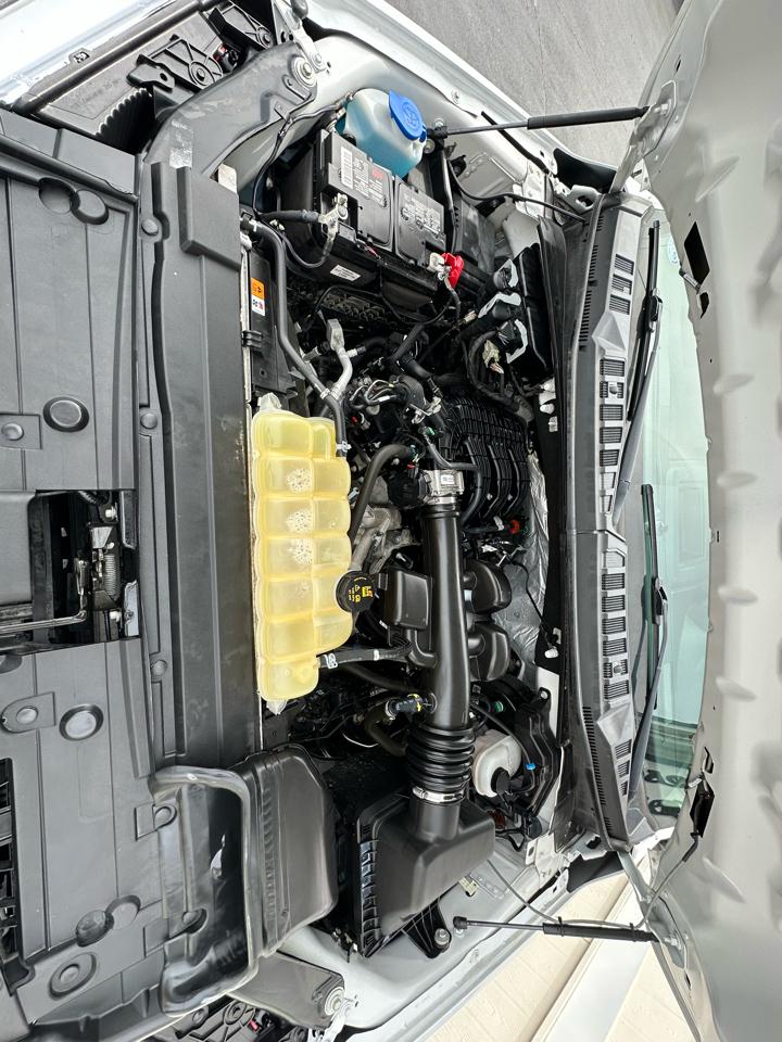 Ford F-150 XLT 4WD Reg Cab 8' Box 2019