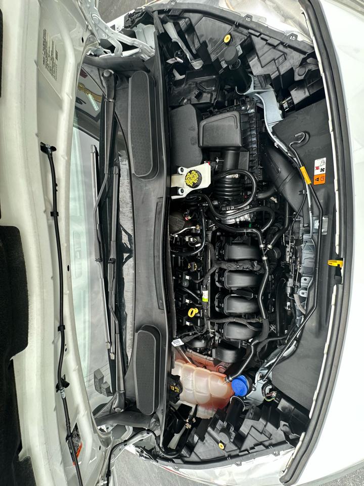 Ford Transit Connect Van XLT LWB w/Rear Symmetrical Doors 2019