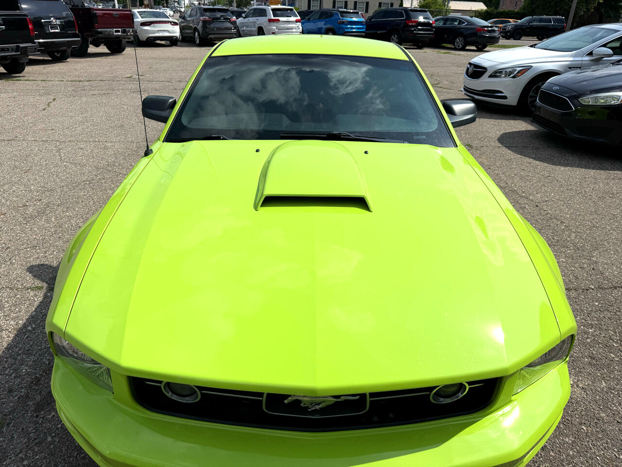 Ford Mustang  2008 Ford Mustang  2008