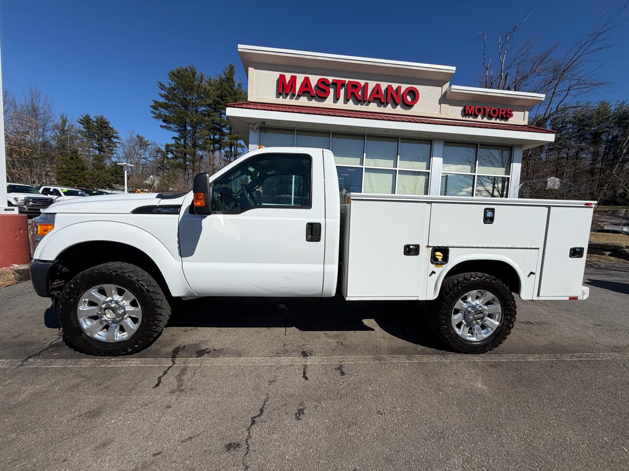 Ford Super Duty F-250 SRW  2015