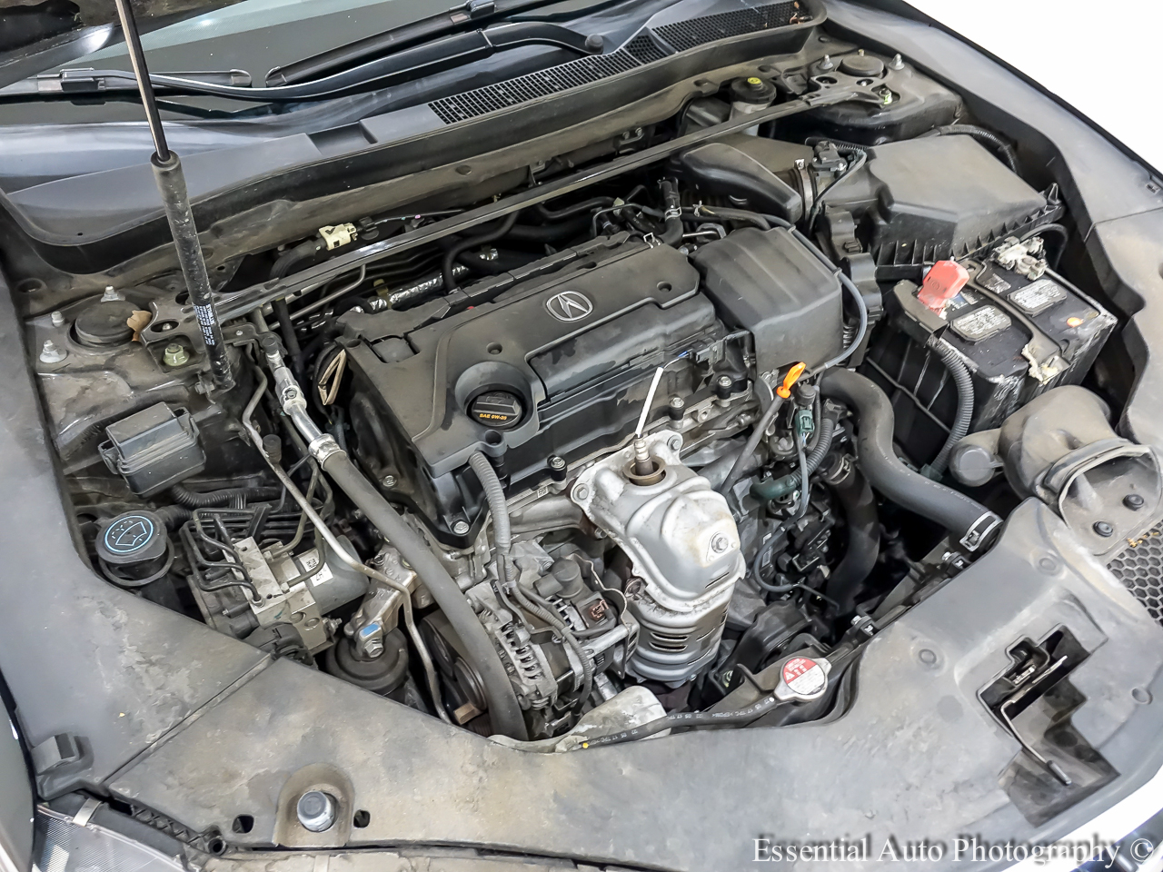 Acura TLX Base 2.4L 2019