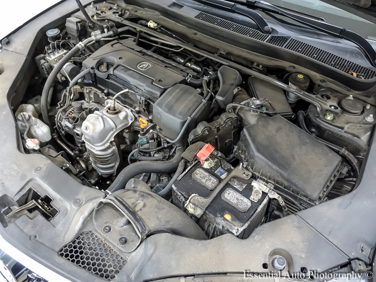 Acura TLX Base 2.4L 2019