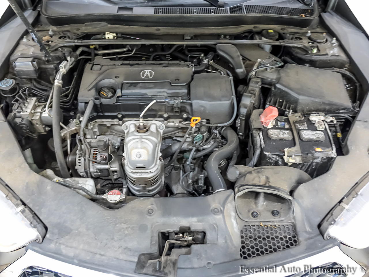 Acura TLX Base 2.4L 2019