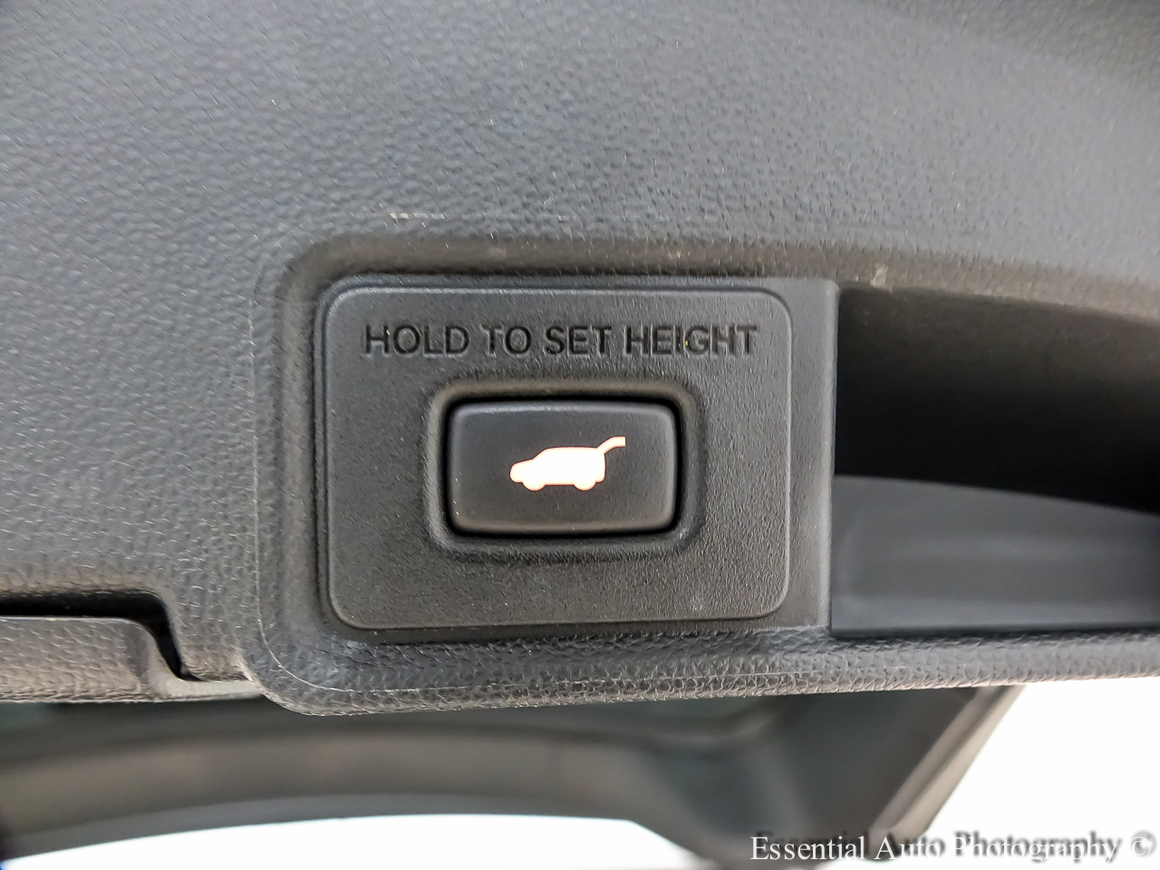 Acura RDX SH-AWD w/Technology Package 2019 Acura RDX SH-AWD w/Technology Package 2019