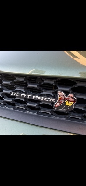 Dodge Charger Scat Pack RWD 2022