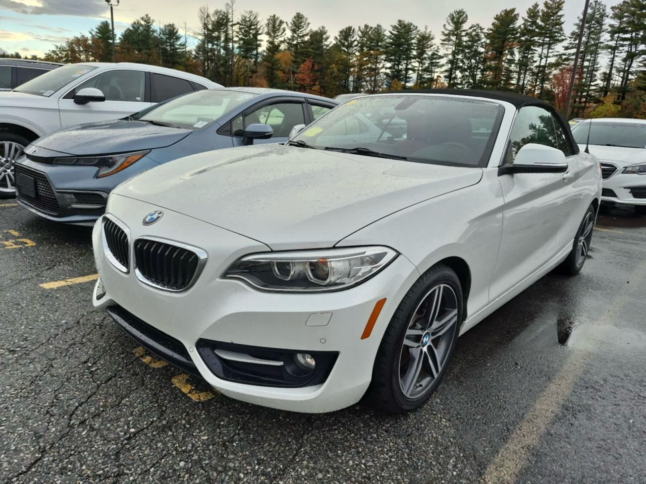 BMW 2 Series  2017 BMW 2 Series  2017
