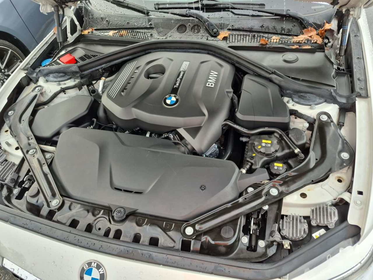 BMW 2 Series  2017 BMW 2 Series  2017