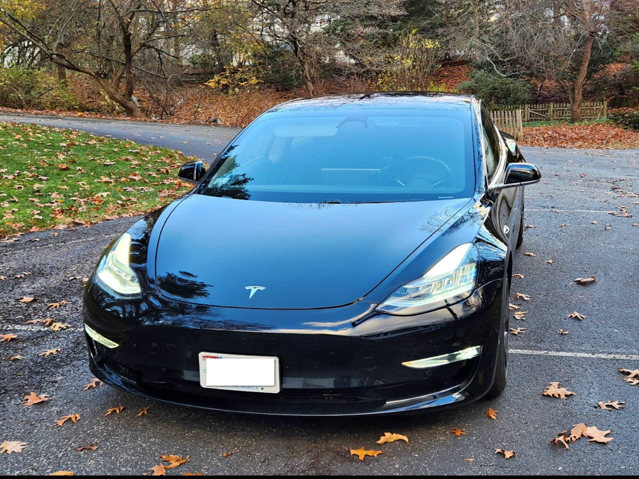 Tesla Model 3  2018