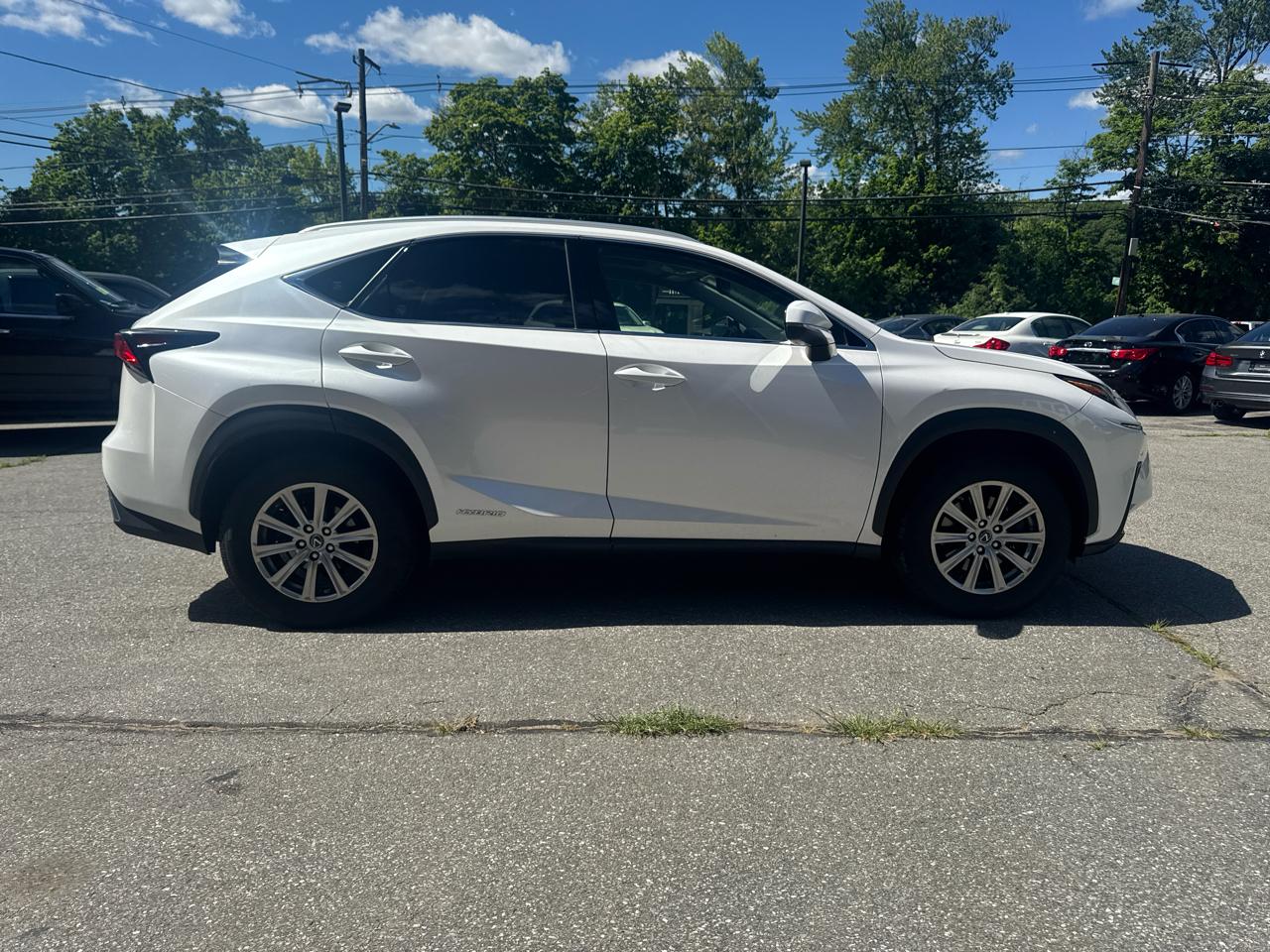Lexus NX  2021