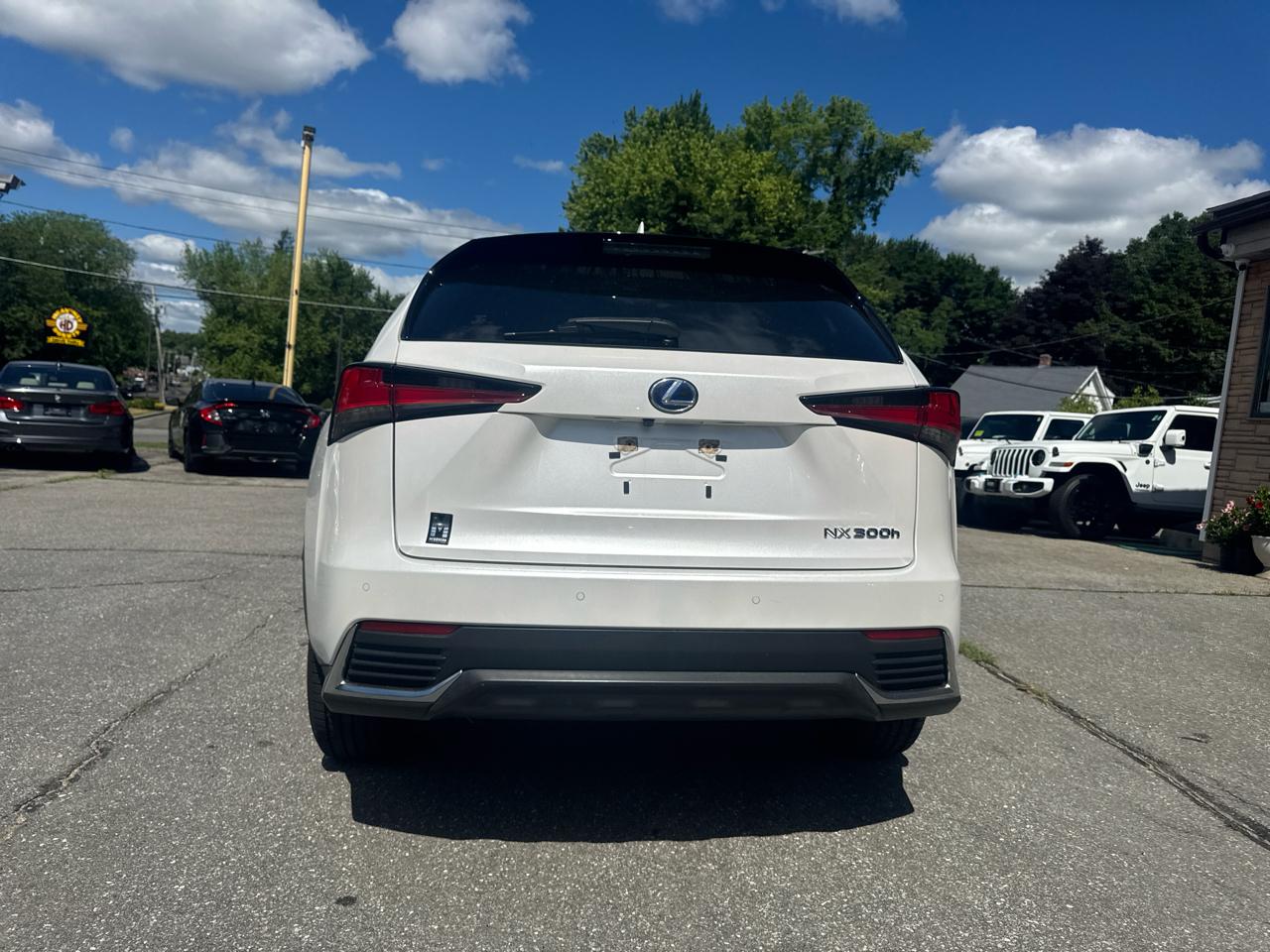 Lexus NX  2021