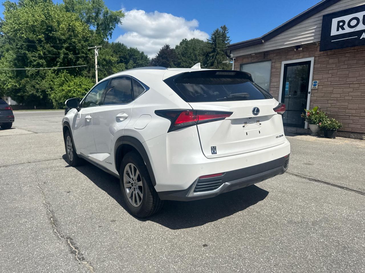 Lexus NX  2021