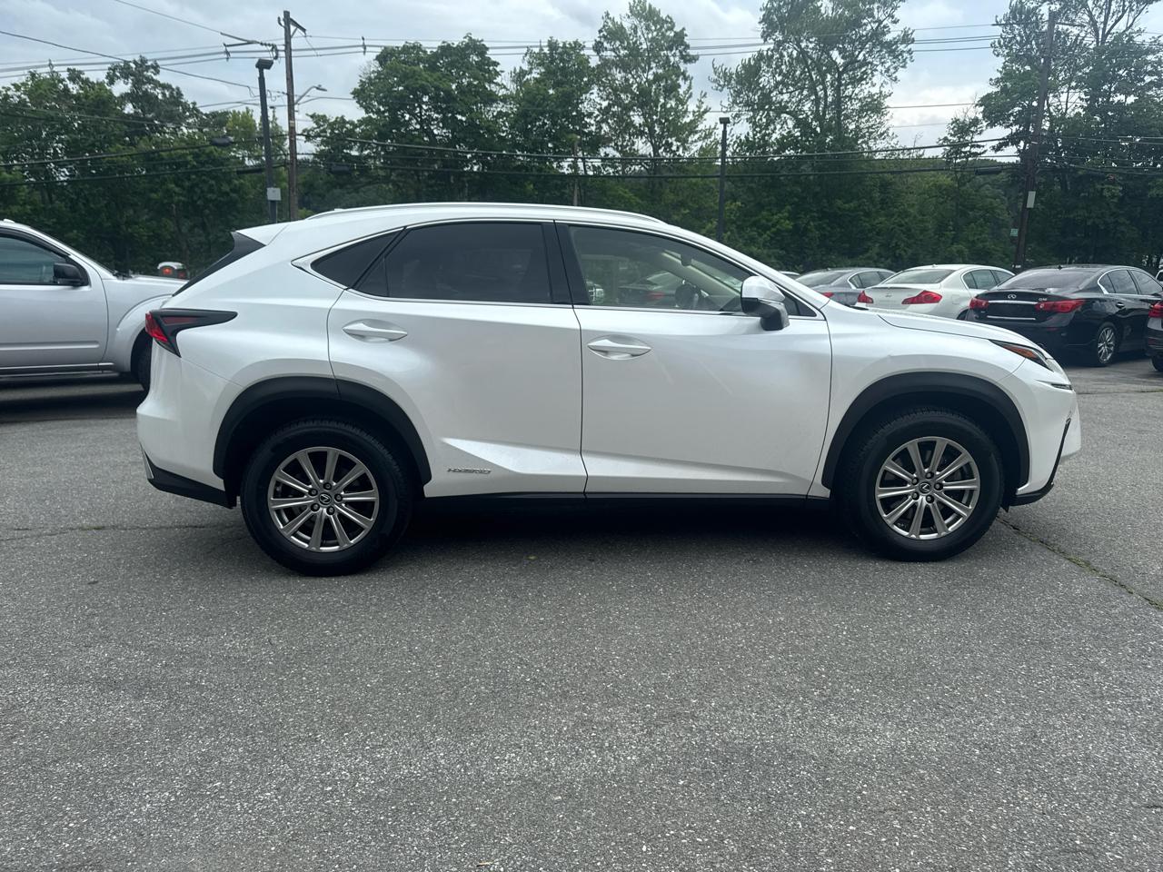 Lexus NX  2021