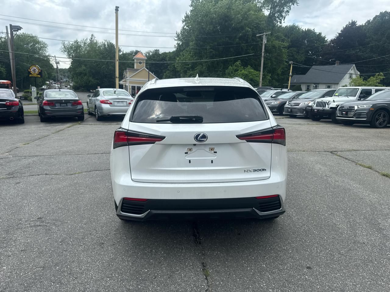Lexus NX  2021