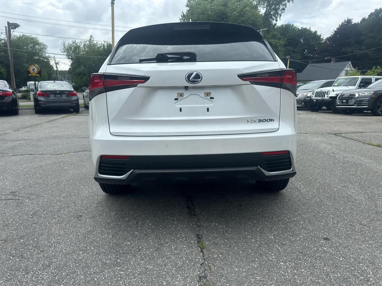 Lexus NX  2021