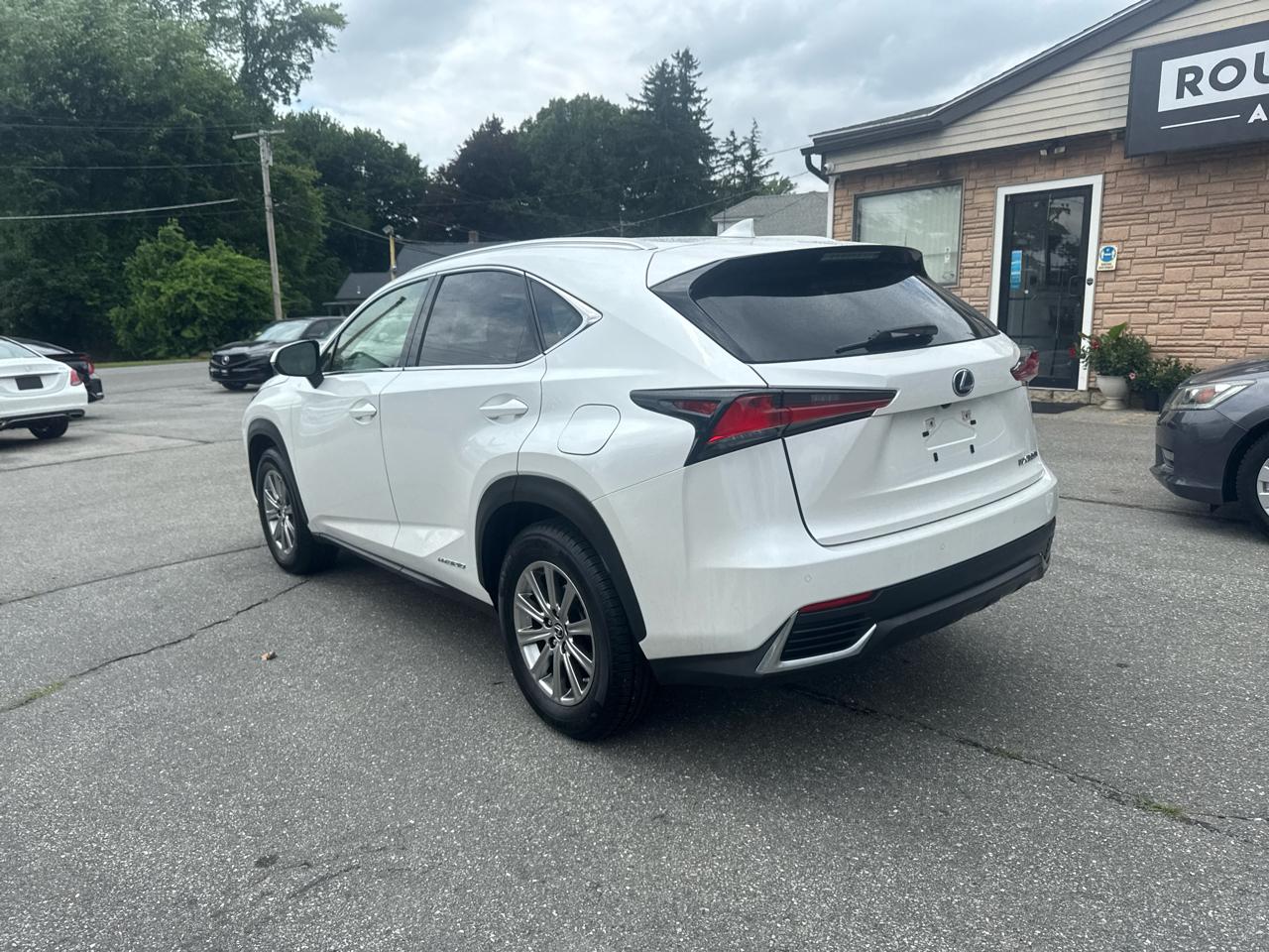 Lexus NX  2021