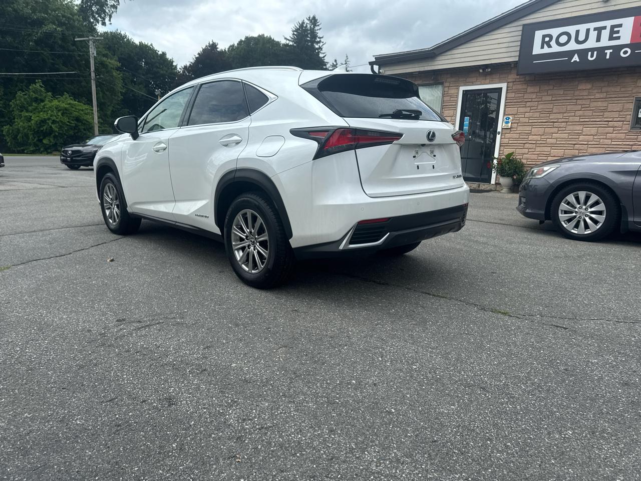 Lexus NX  2021