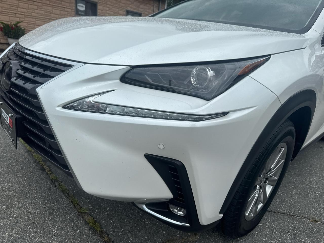 Lexus NX  2021