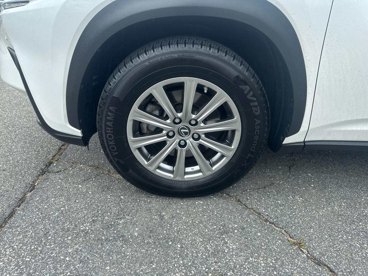 Lexus NX  2021