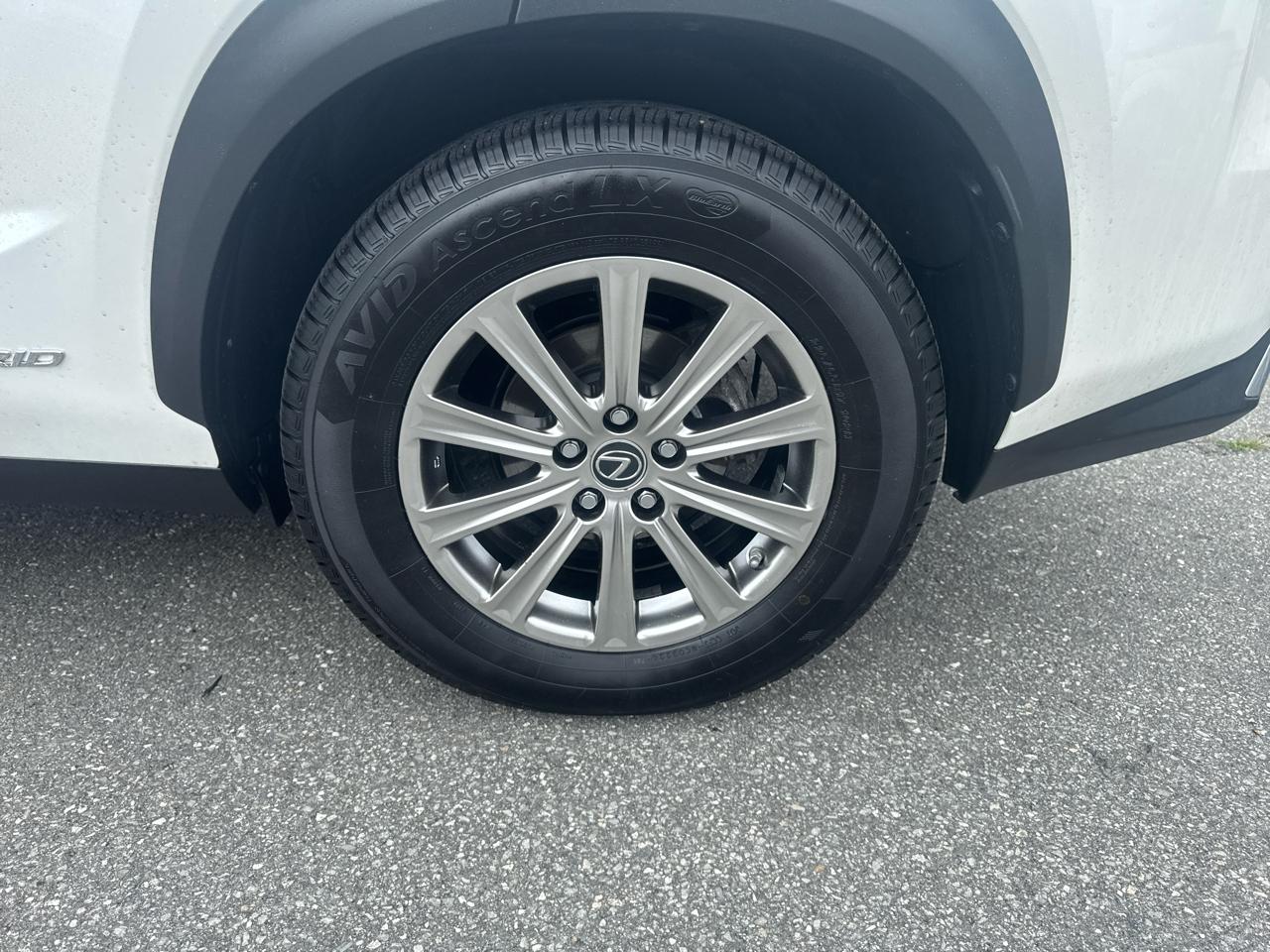 Lexus NX  2021
