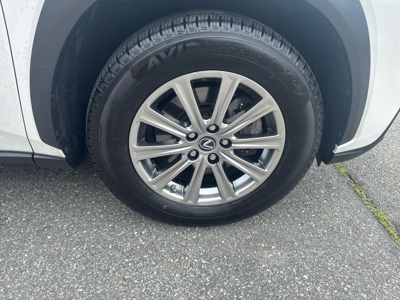 Lexus NX  2021