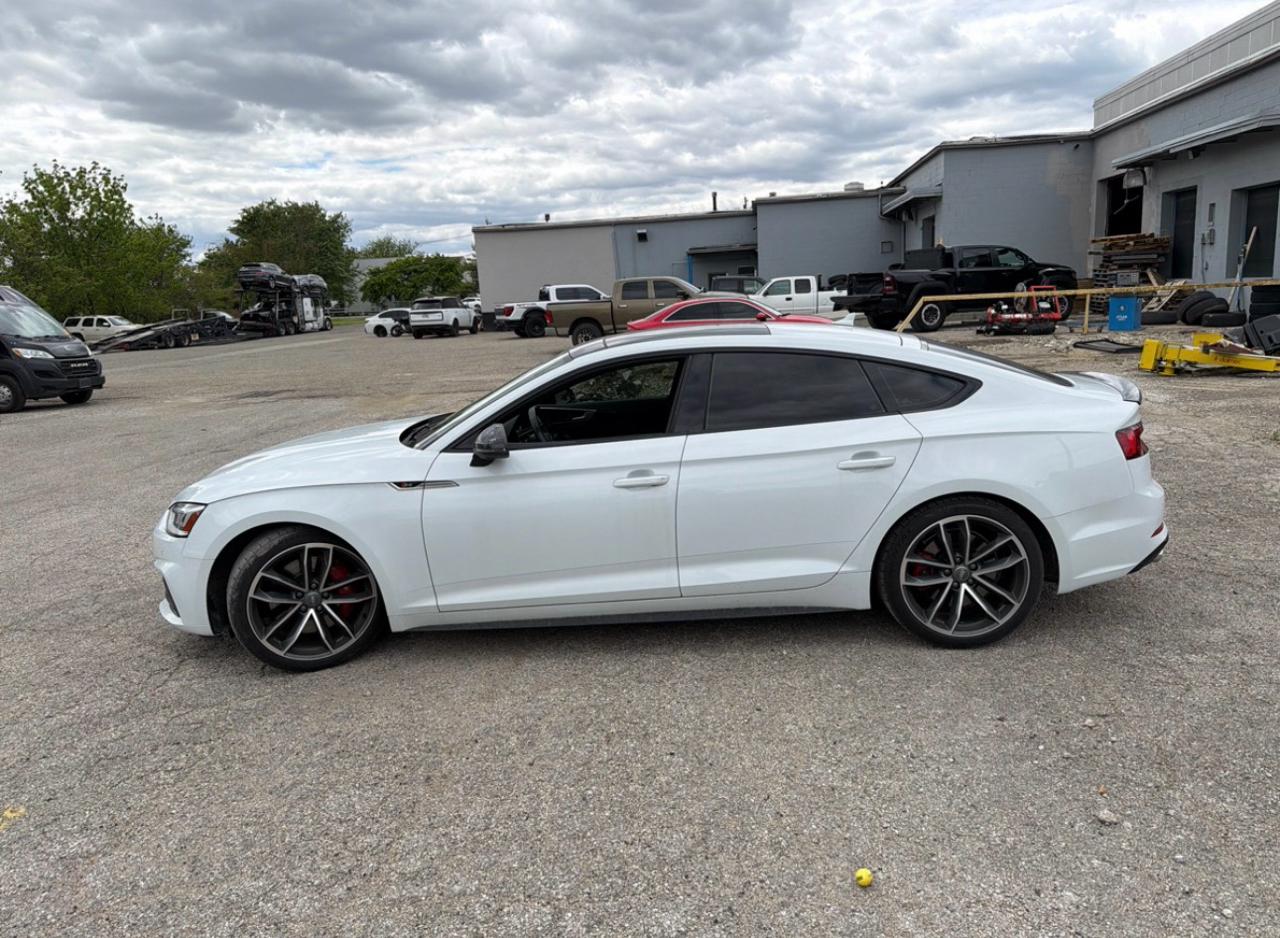 Audi S5 Sportback  2019