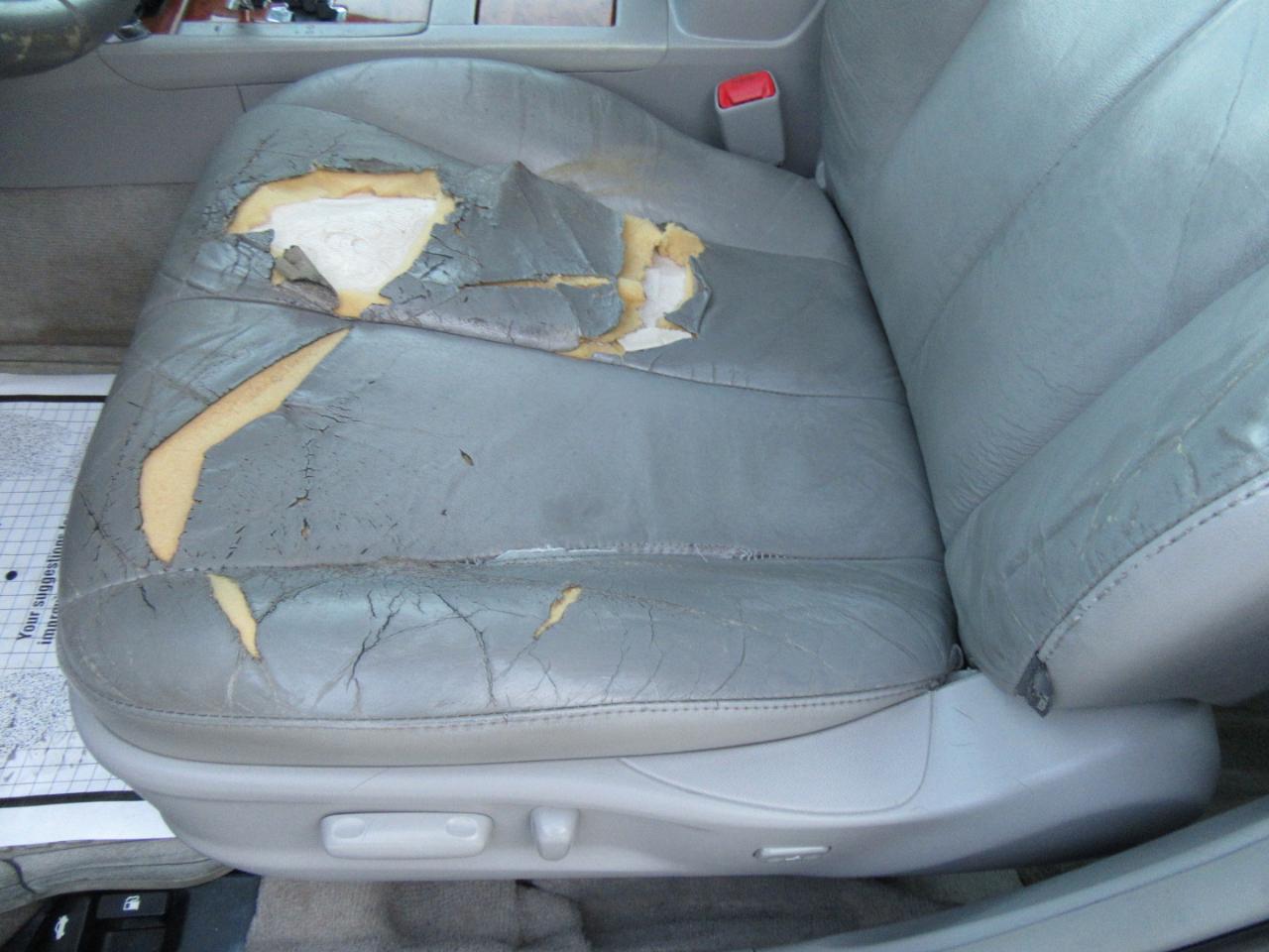 Toyota Camry XLE 2010