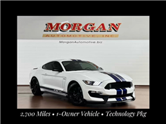 2016 Ford Shelby GT350  2016 Ford Shelby GT350