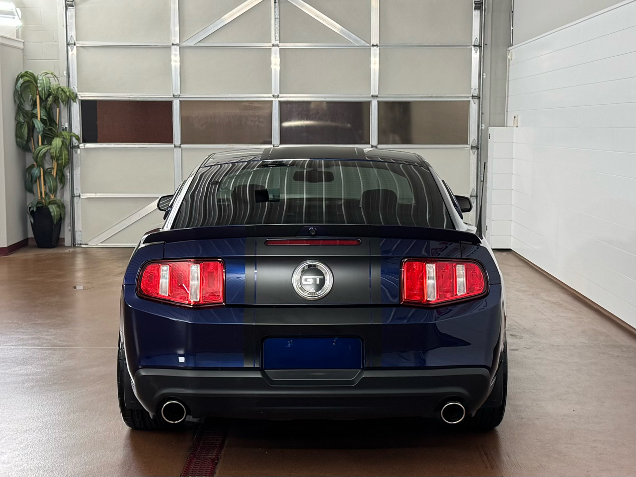 Ford Mustang  2010