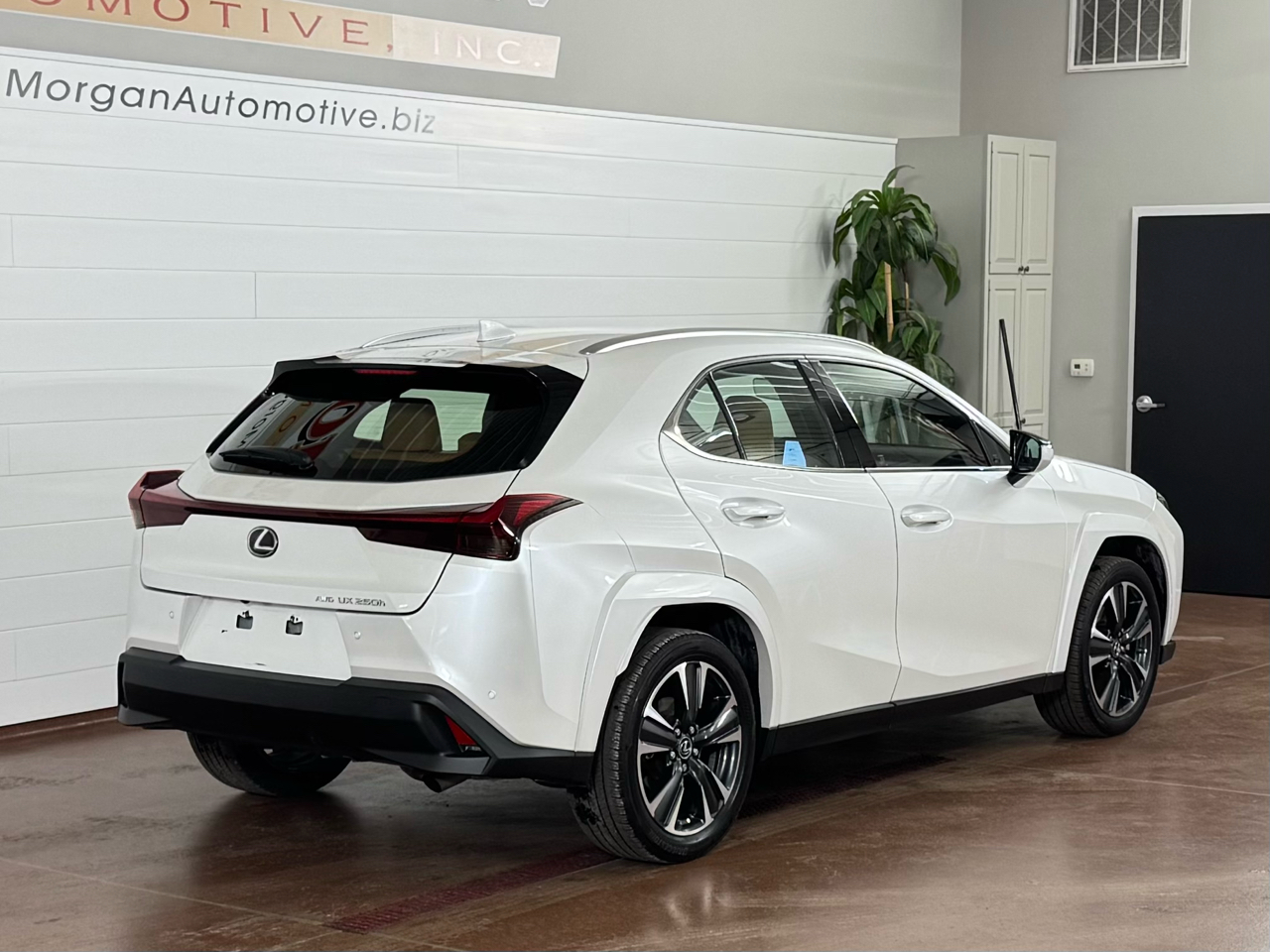 Lexus UX 250h Premium AWD 2023