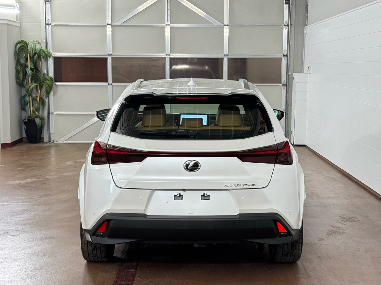 Lexus UX 250h Premium AWD 2023