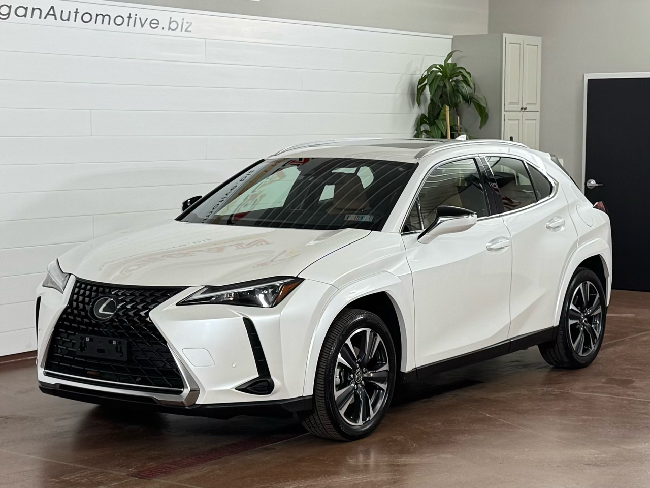 Lexus UX 250h Premium AWD 2023