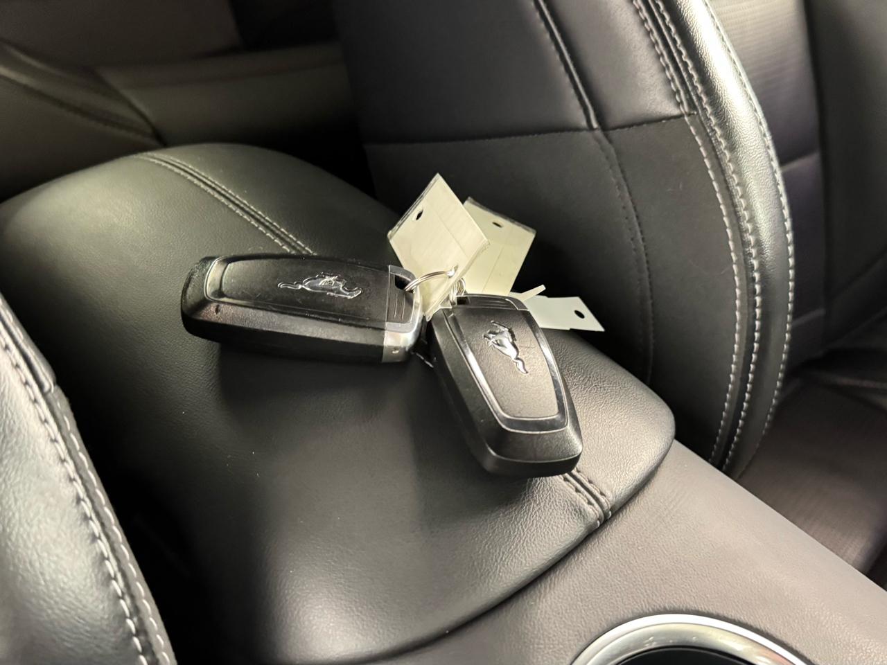 Ford Mustang GT Premium Coupe 2024