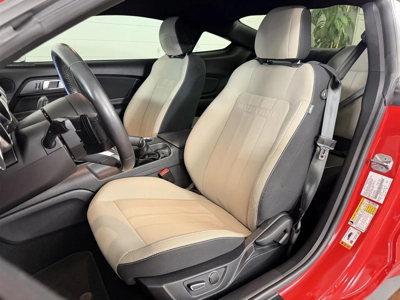 Ford Mustang GT Coupe 2019