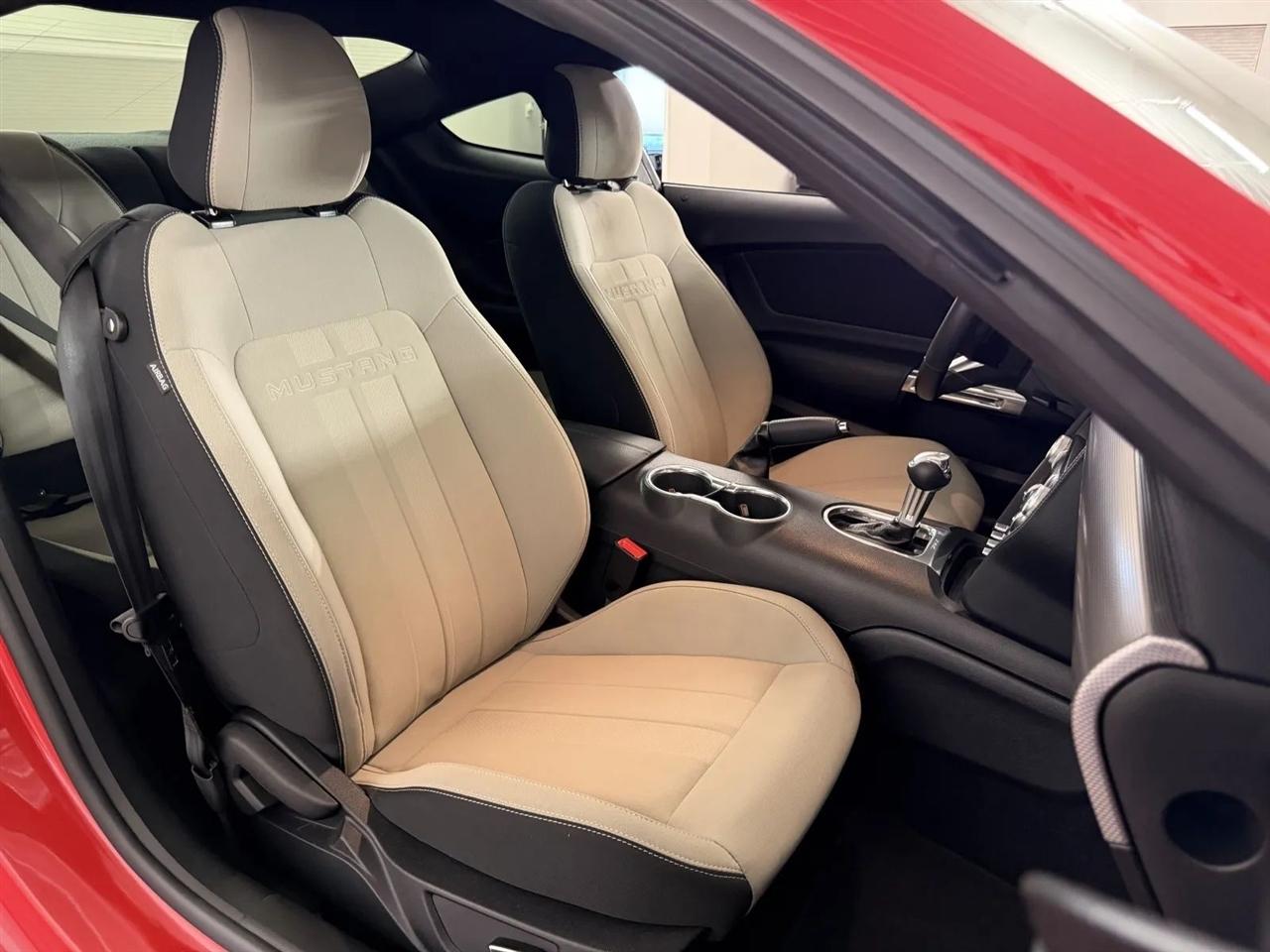 Ford Mustang GT Coupe 2019