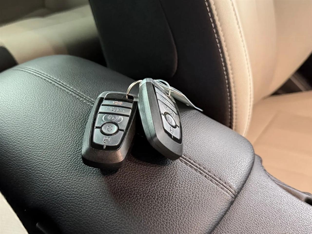 Ford Mustang GT Coupe 2019