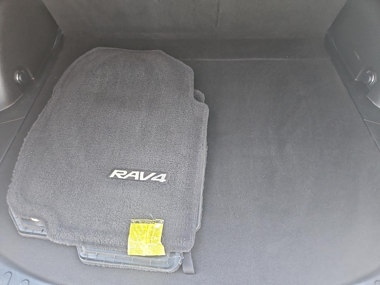 Toyota RAV4 XLE FWD 2017