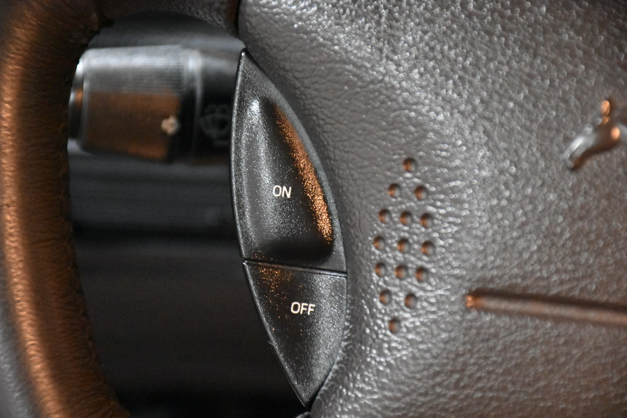 Ford Mustang GT Deluxe Coupe 2002