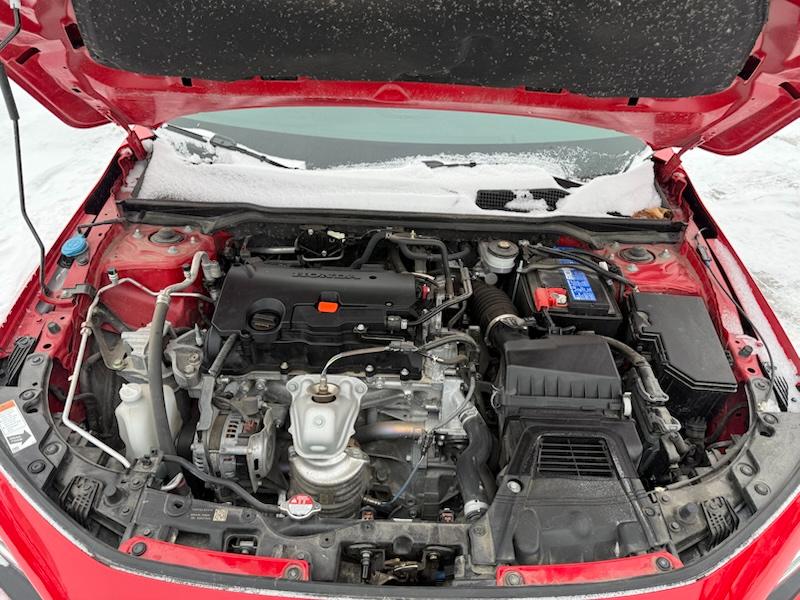 Honda Civic Sport 2024