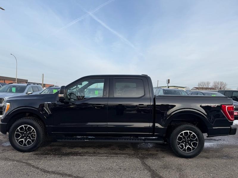 Ford F-150 XL SuperCrew 6.5-ft. Bed 4WD 2022