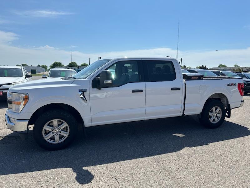 Ford F-150 XLT SuperCrew 6.5-ft. Bed 4WD 2022