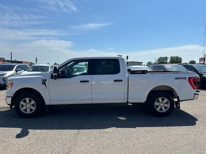 Ford F-150 XLT SuperCrew 6.5-ft. Bed 4WD 2022