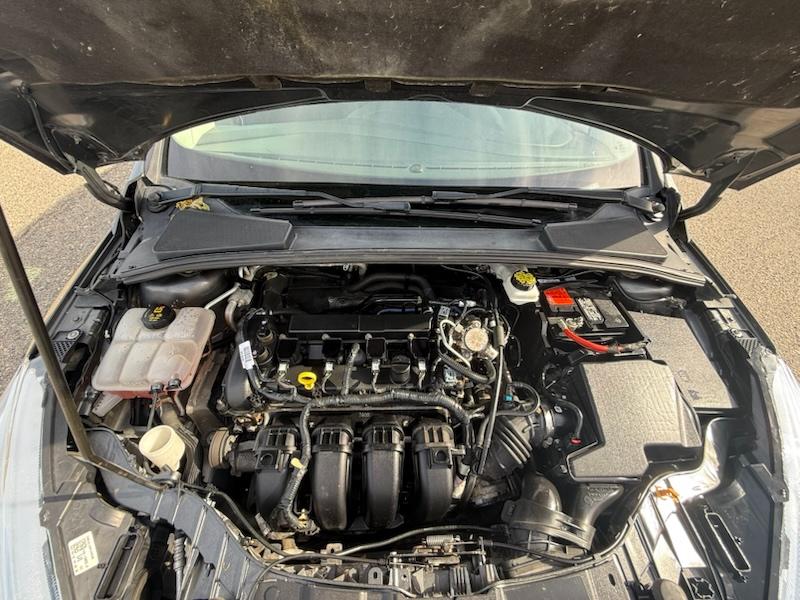 Ford Focus SE Hatch 2018