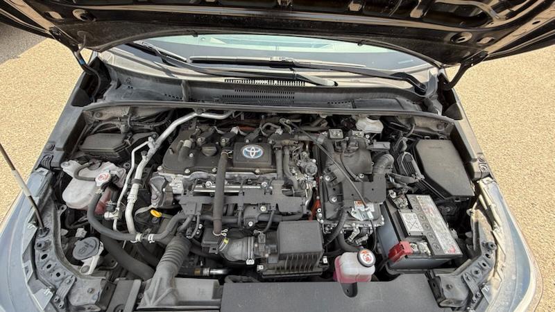 Toyota Corolla  2023