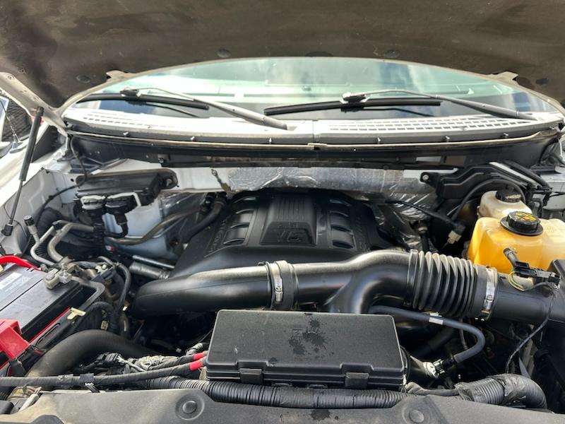 Ford F-150 XLT SuperCrew 5.5-ft. Bed 4WD 2013