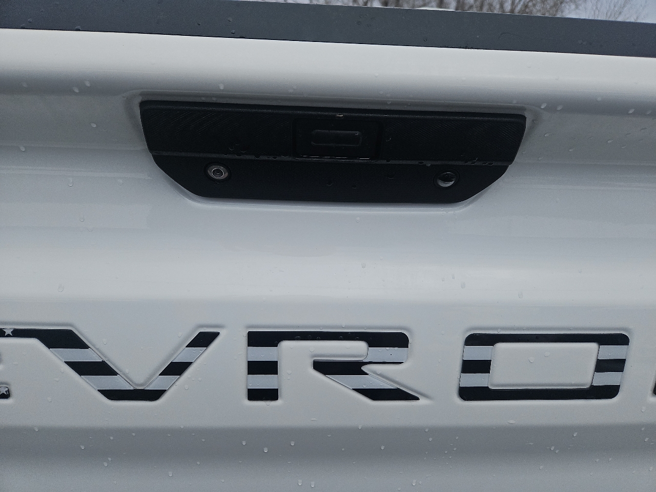 Chevrolet Silverado 1500 4WD Crew Cab 147" LT Trail Boss 2020