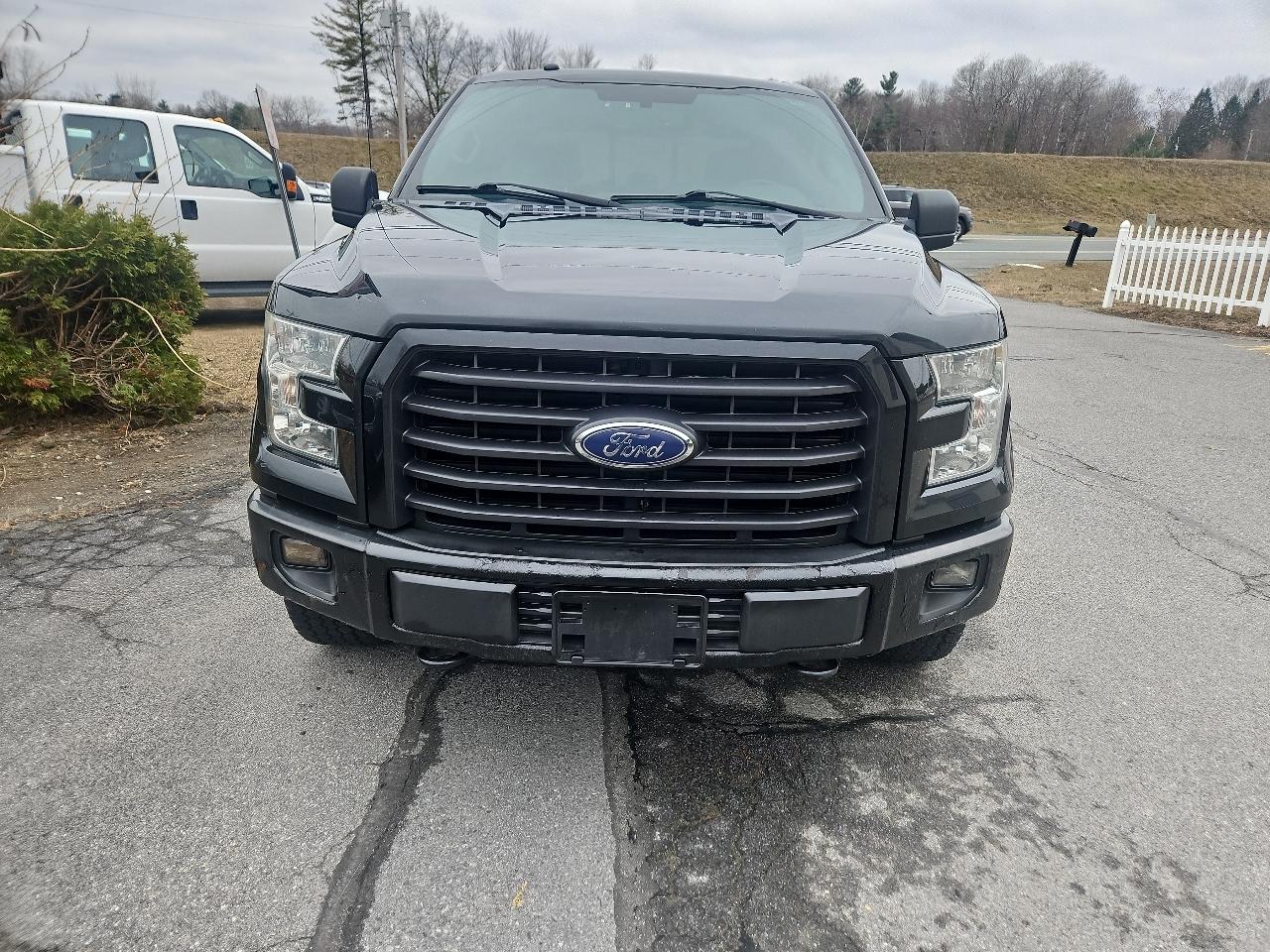 Ford F-150 4WD SuperCrew 145" XLT 2016